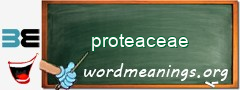 WordMeaning blackboard for proteaceae